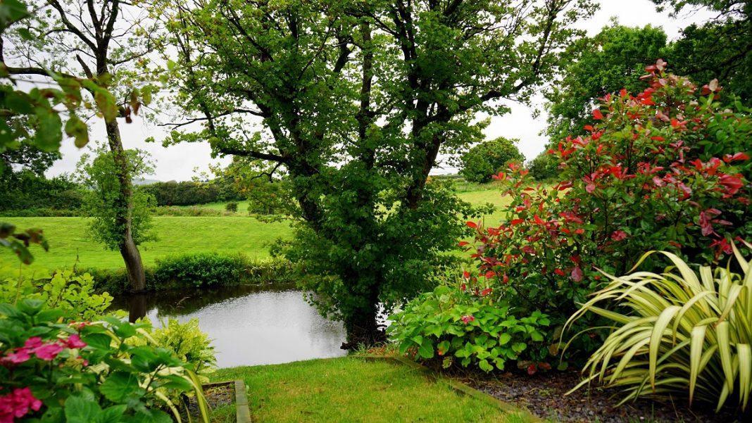 Aménager un jardin bio : comment faire ?