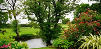 Aménager un jardin bio : comment faire ?