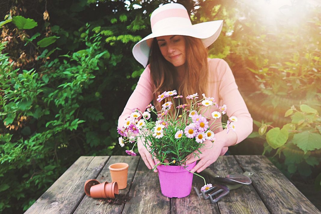 Petit jardin : comment l'aménager pour en profiter ?