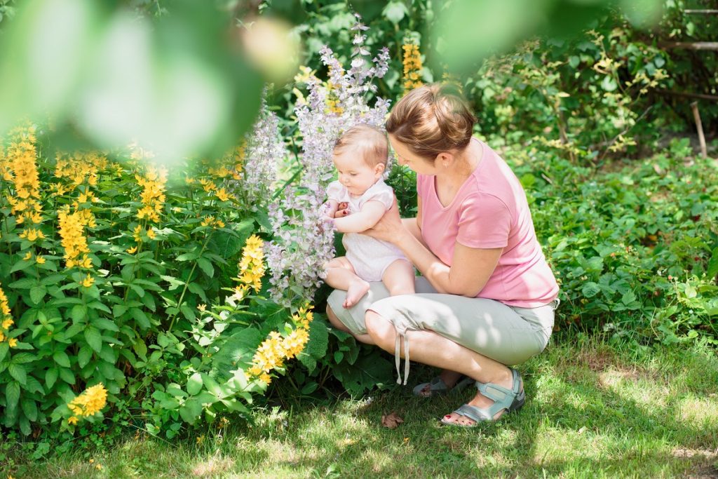 Planter des arbustes