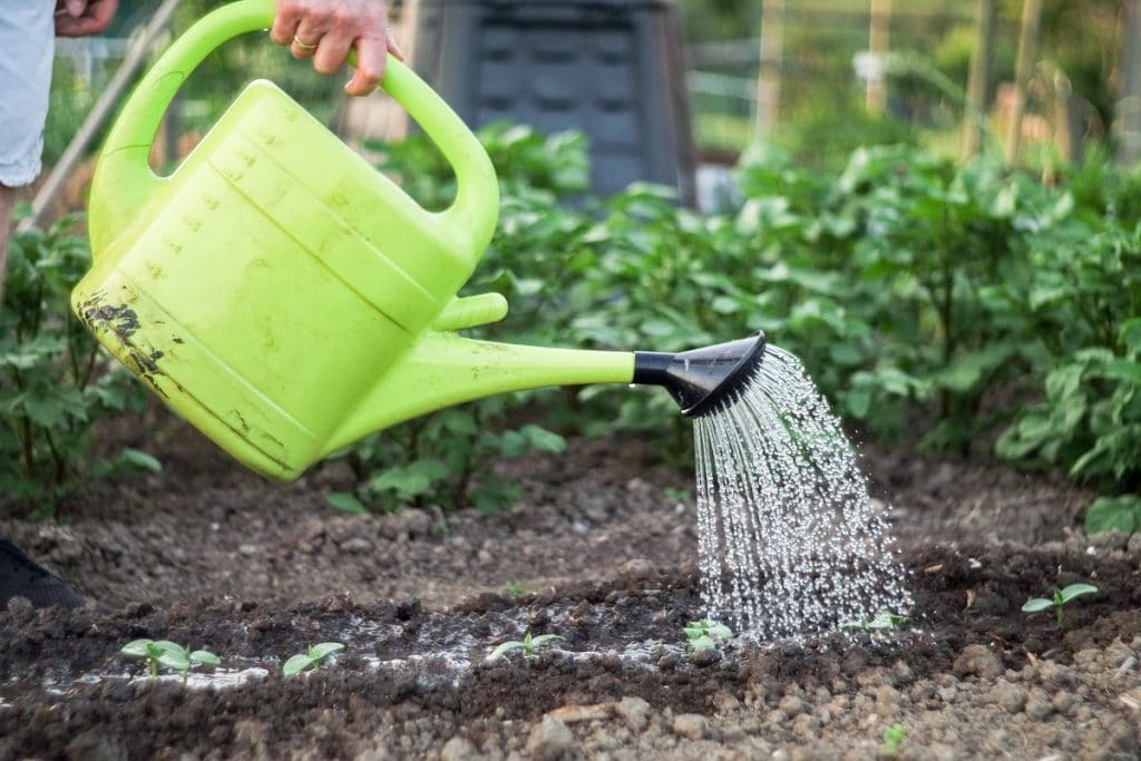 Comment protéger son potager bio ?