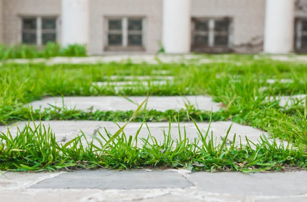 Quel revêtement de sol pour votre allée de jardin ?