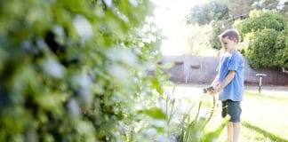 Comment bien entretenir son jardin toute l'année ?