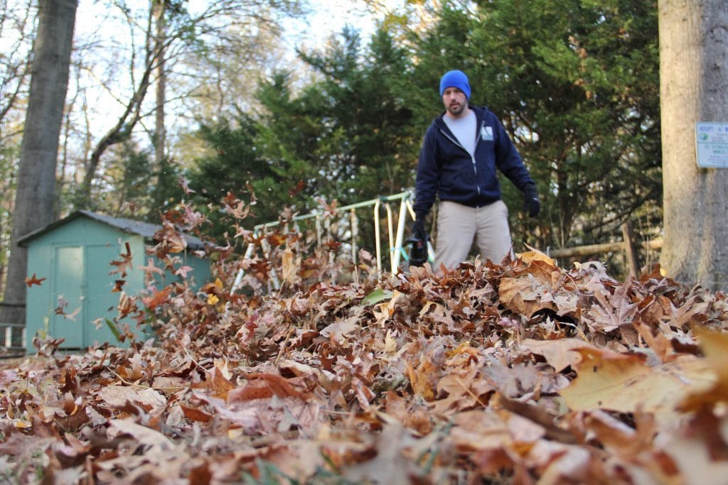 Chasser les feuilles mortes