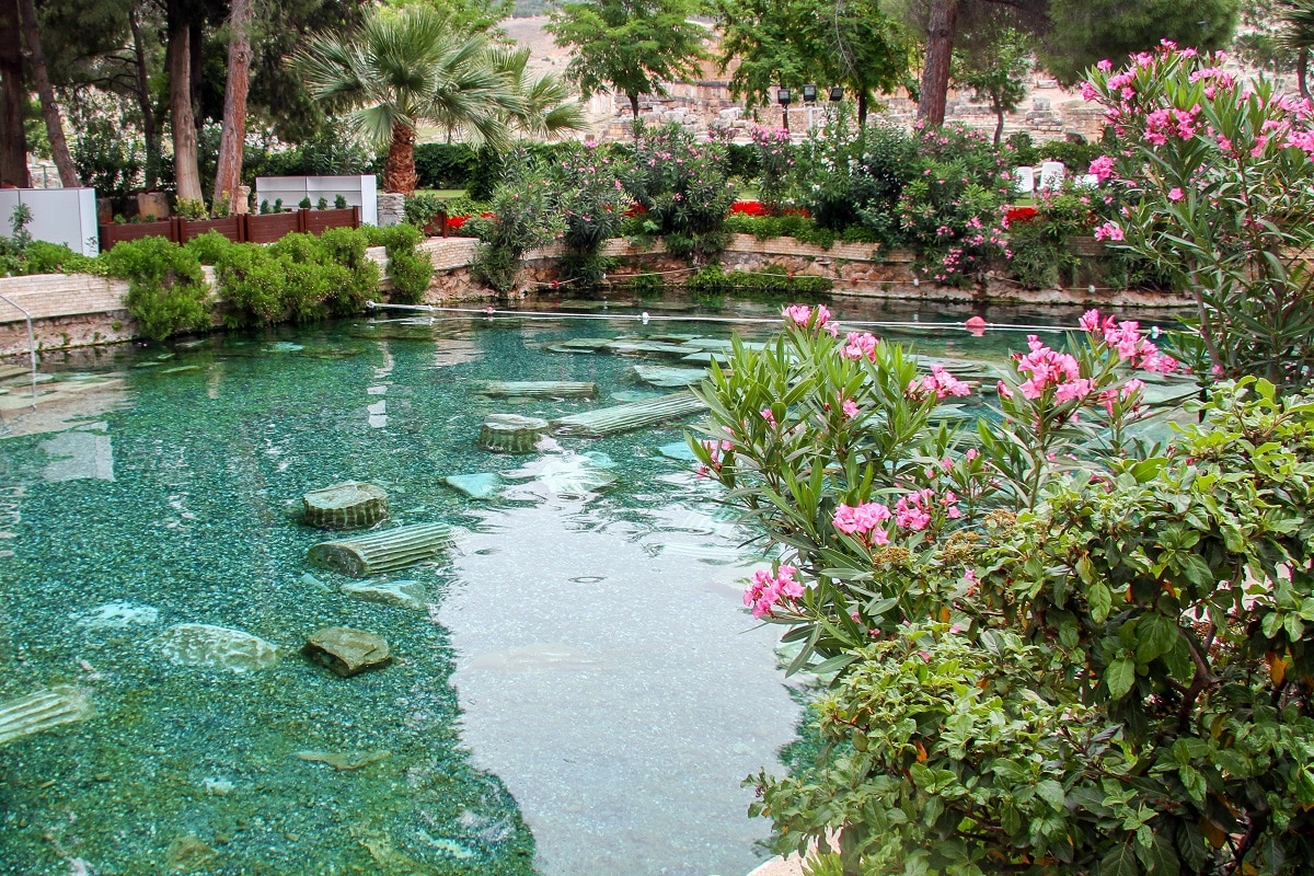 Comment construire une piscine naturelle ?