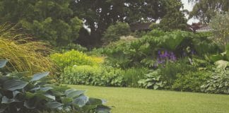 Les meilleures astuces pour un jardin sans entretien (ou presque)