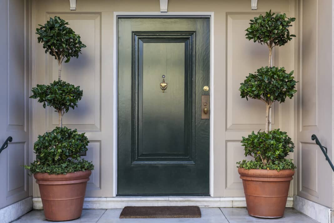 Quelle plante mettre devant une porte d'entrée ?