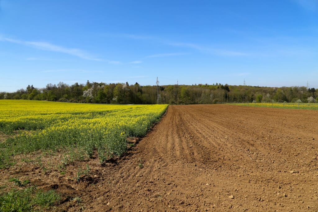 Qu’est-ce qu’un terrain constructible non viabilisé ?