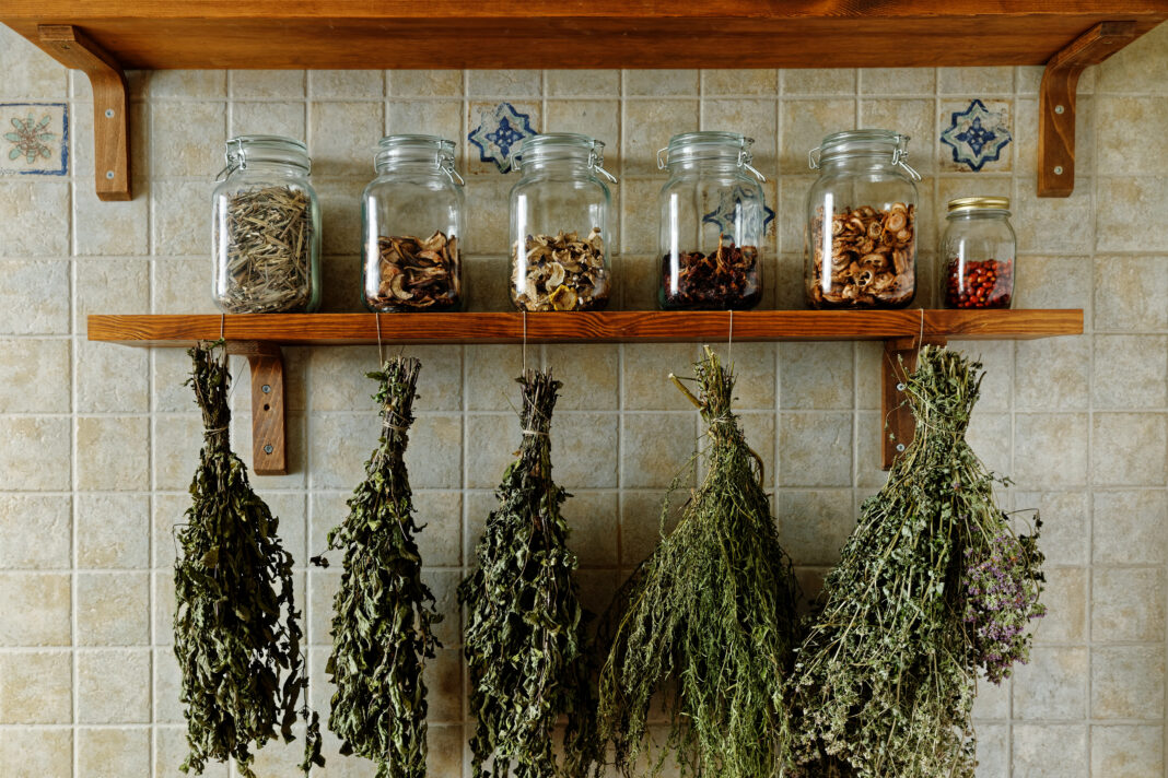 Créer un mur aromatique dans la cuisine : comment faire ?