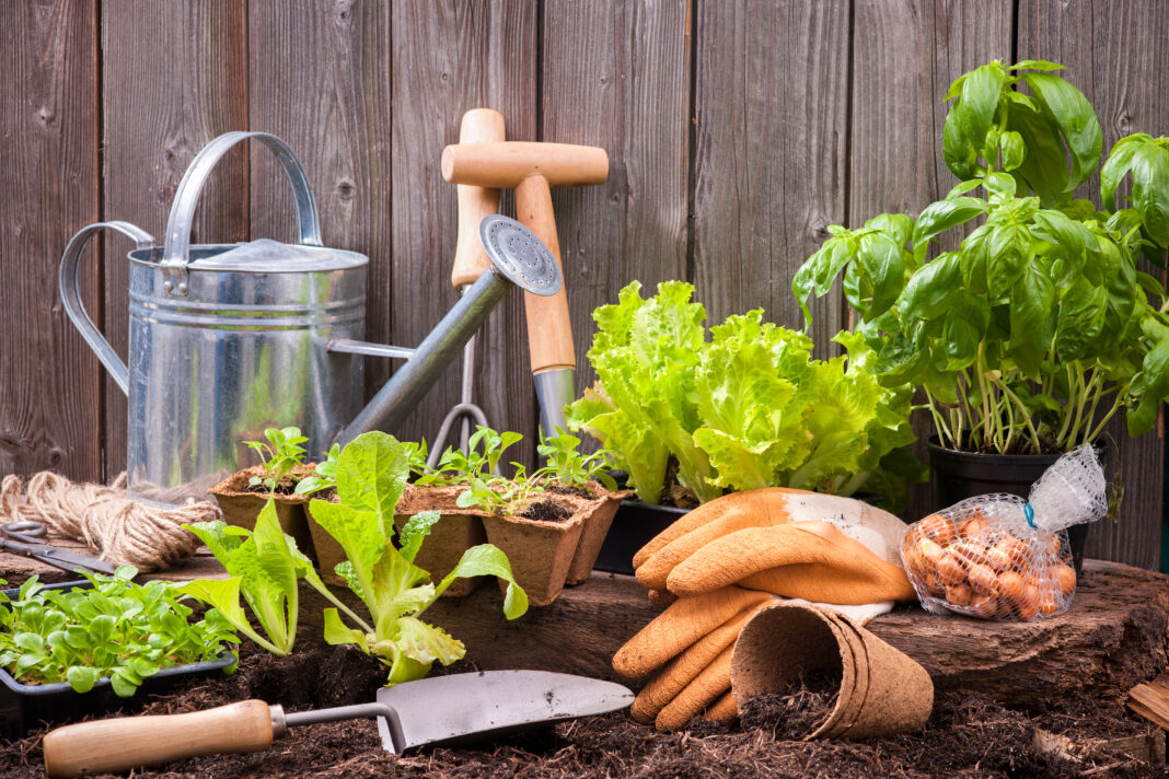 Les outils indispensables à tout jardinier
