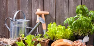 Les outils indispensables à tout jardinier