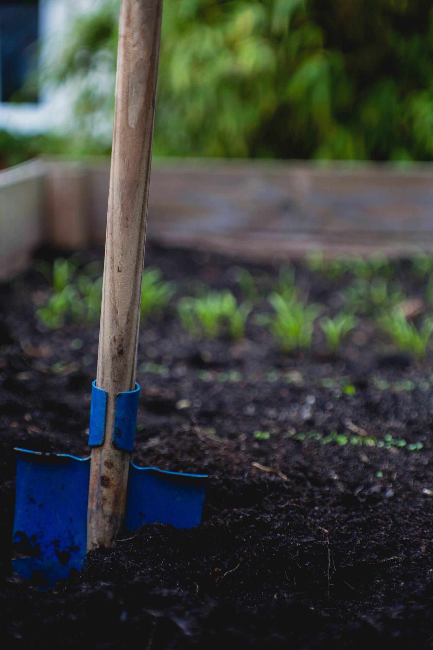 Comment poser la bordure qui sublimera votre jardin ?